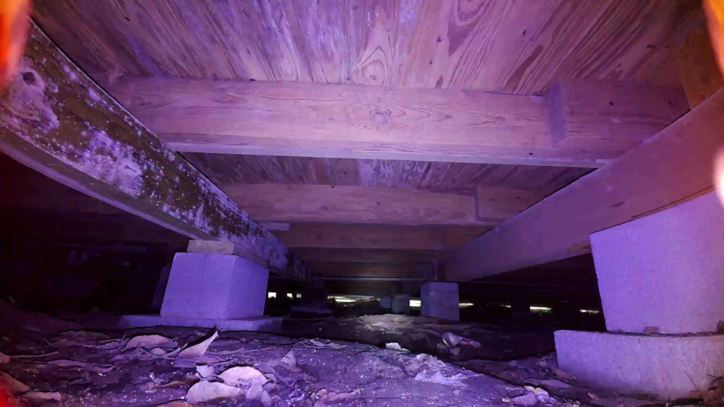 Under-house crawlspace documentation