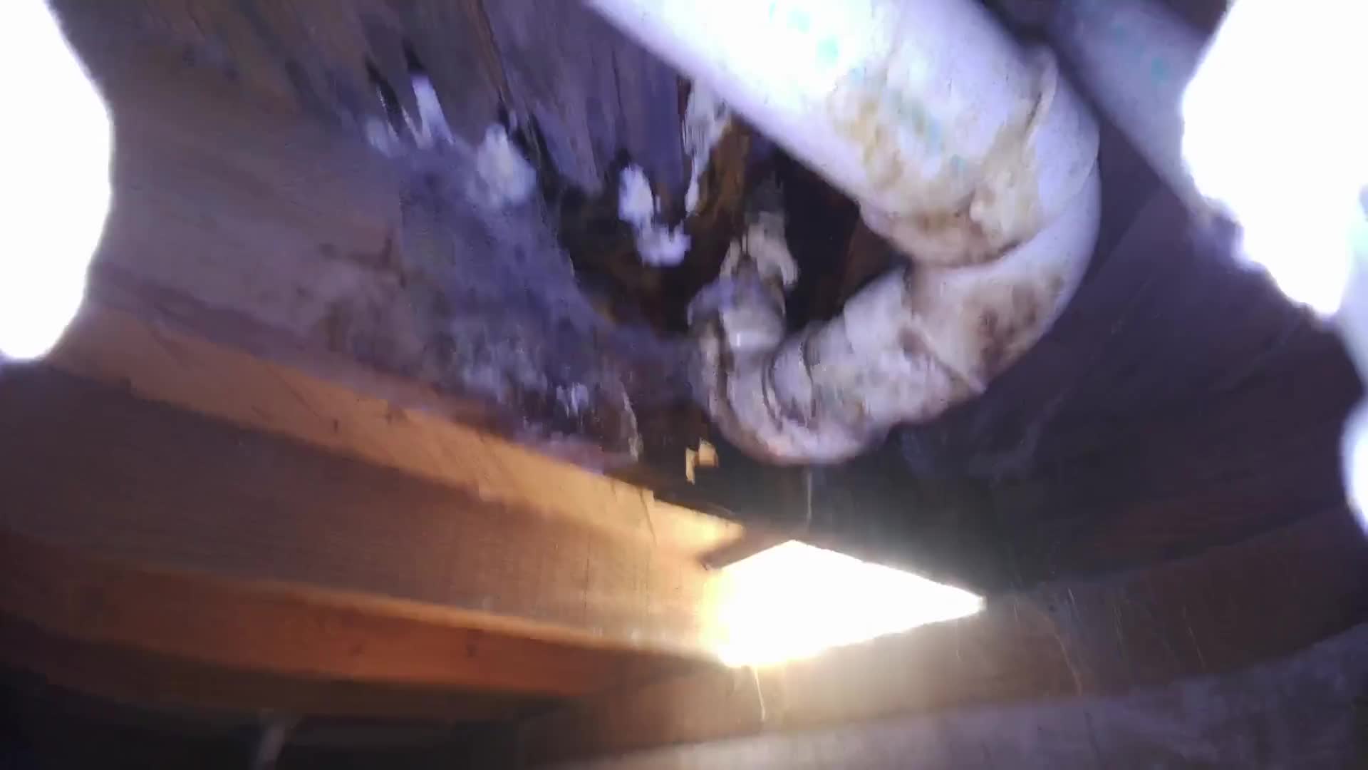 Water dripping below an exposed P-trap in crawlspace inspection footage